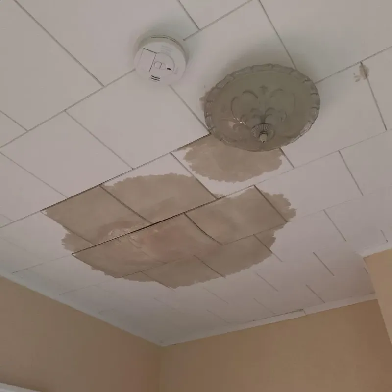 Ceiling Water Damage Repair in Afton, MN